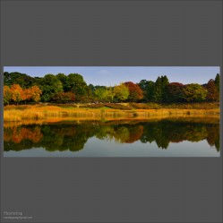 dailyPhoto35
